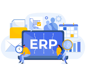 ERP SOFTWARE